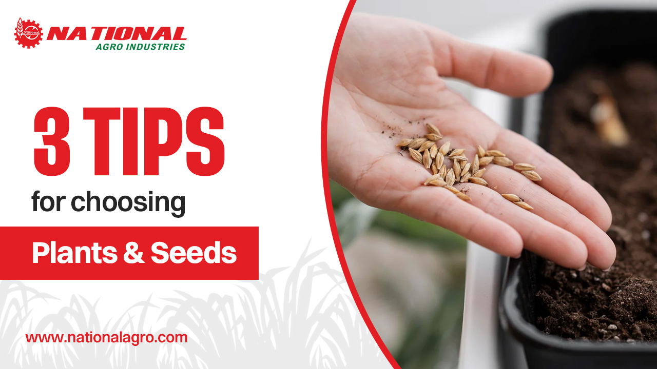 3 Tips for Choosing Plants And Seeds